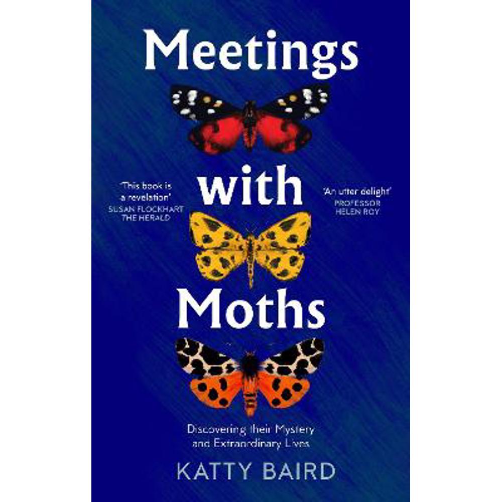 Meetings with Moths: Discovering their Mystery and Extraordinary Lives (Paperback) - Katty Baird
